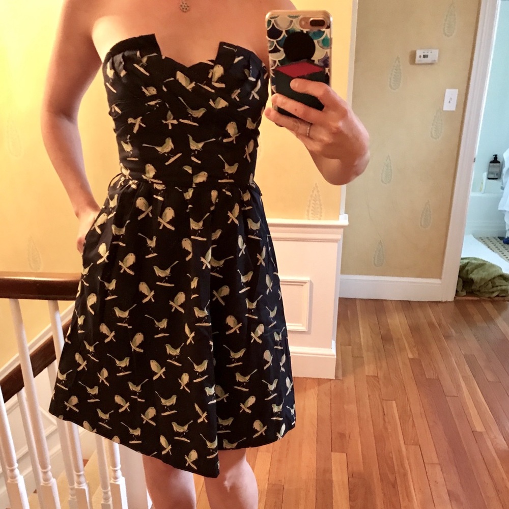 Anthropology porridge bird print dress